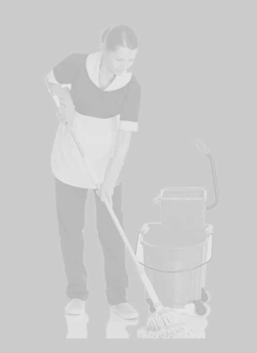 cabecera-gremio-limpiadora-movil-530x728